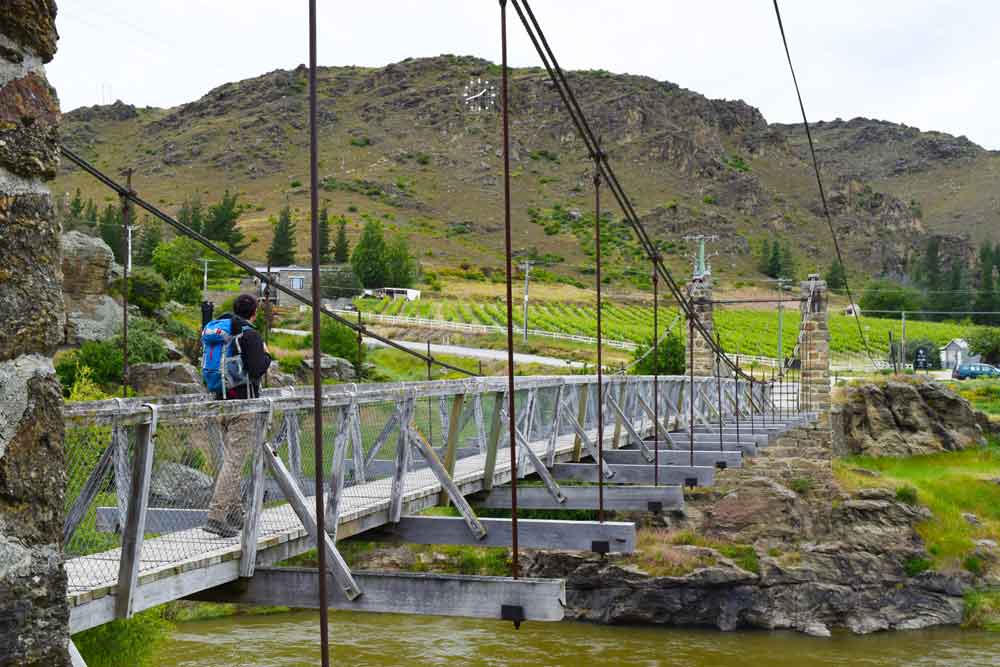 10 Fun Things to Do in Alexandra NZ Pocket Guide 1 New Zealand