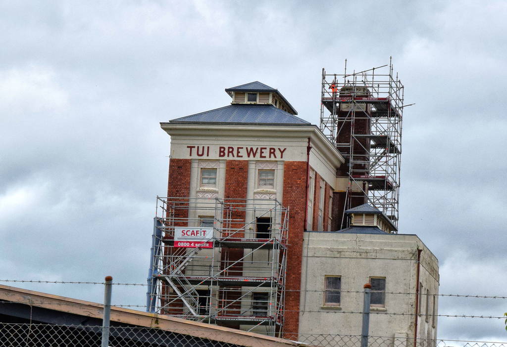 7 Best Things to Do in Woodville NZ Pocket Guide