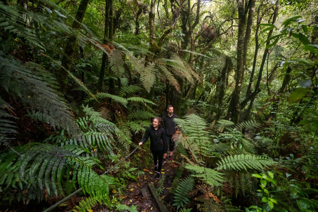 www.ManawatuNZ.co.nz