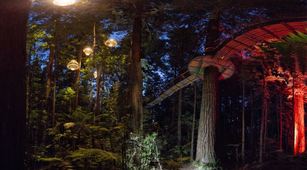 20 BEST Walks & Hikes in Rotorua NZ Pocket Guide