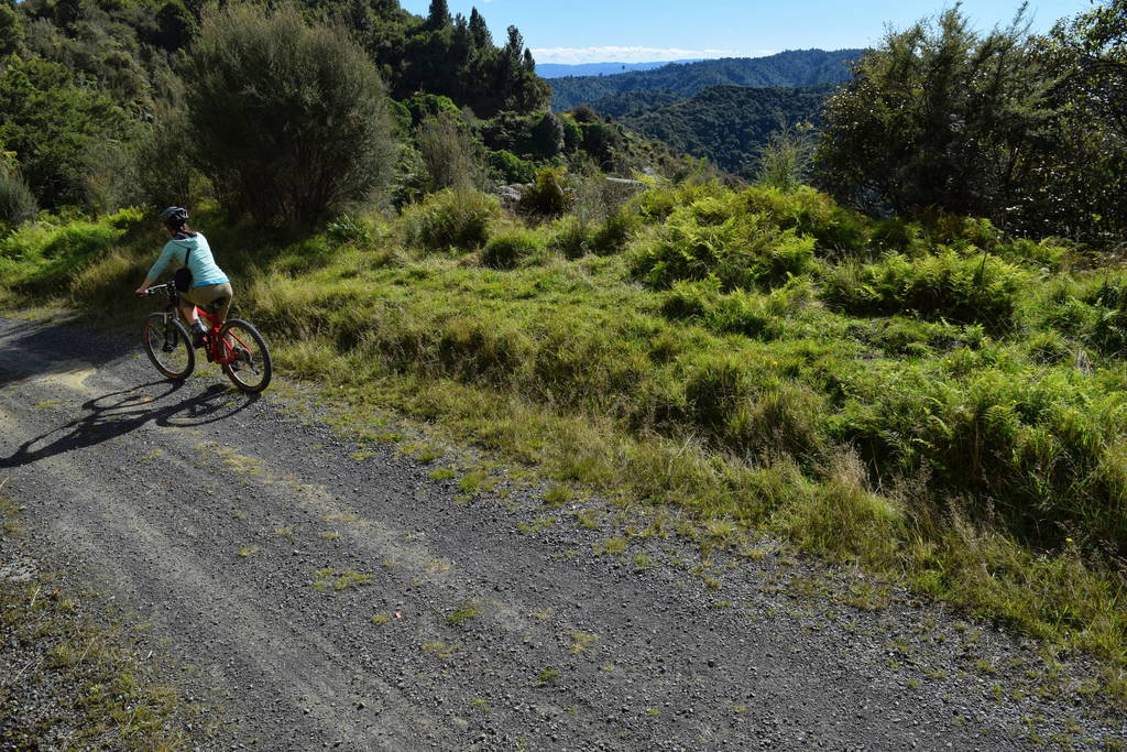 NZPocketGuide.com