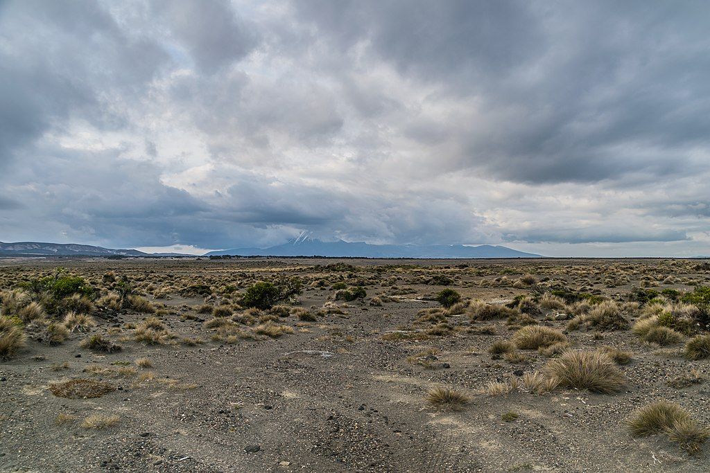 Krzysztof Golik on Wikipedia