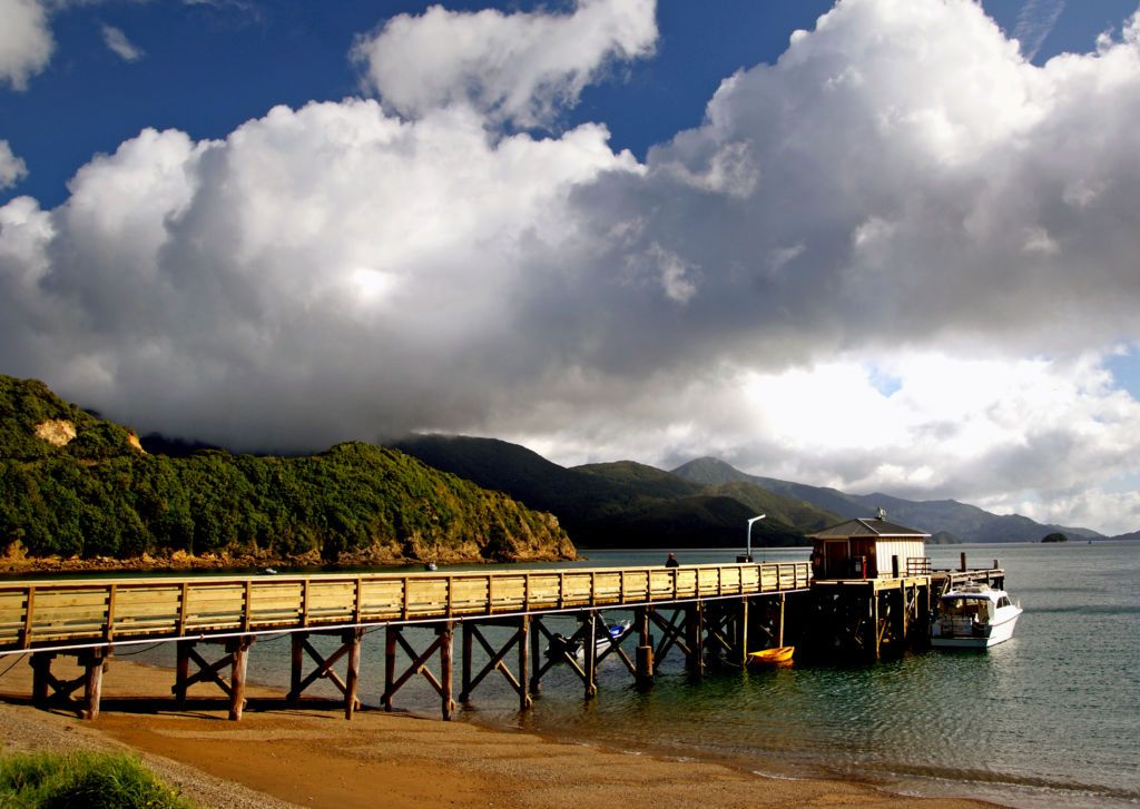 Bernard Spragg. NZ on Wikipedia