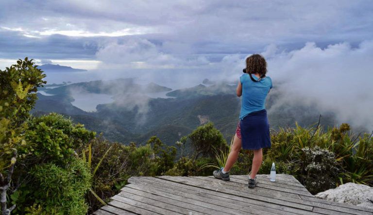 12 Best Hikes on Great Barrier Island