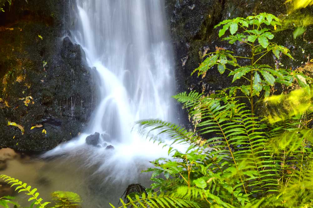 5 Best Things to Do in Te Kuiti NZ Pocket Guide