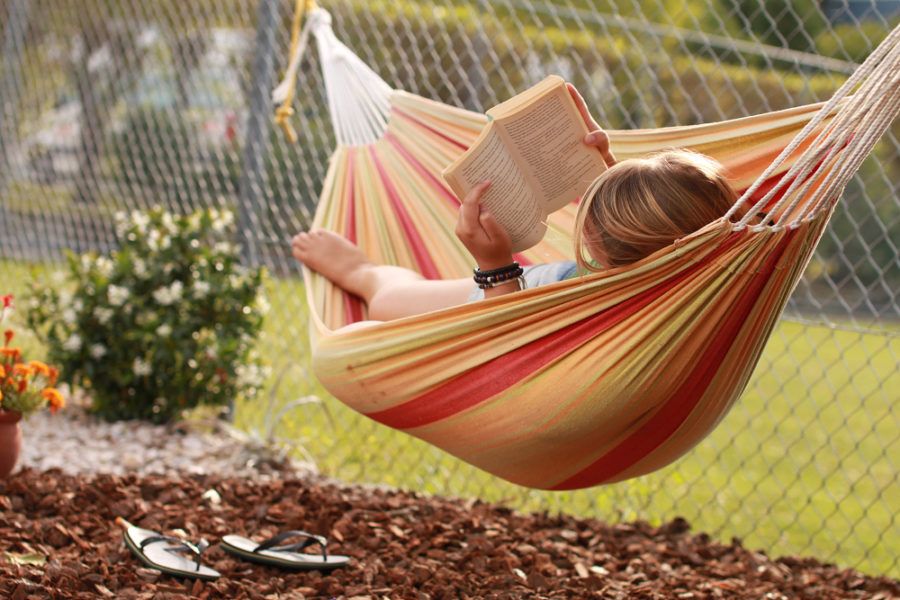 9 Best Backpacker Hostels in Nelson 🎒 [2024] NZ Pocket Guide