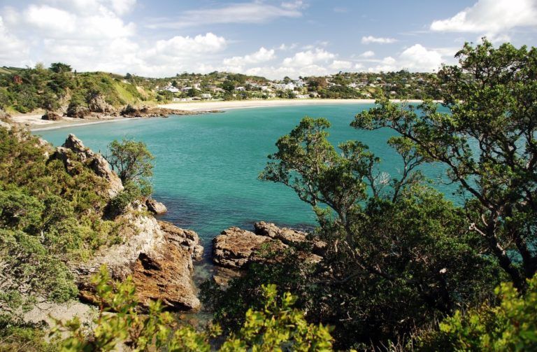 7 Best Walks on Waiheke Island