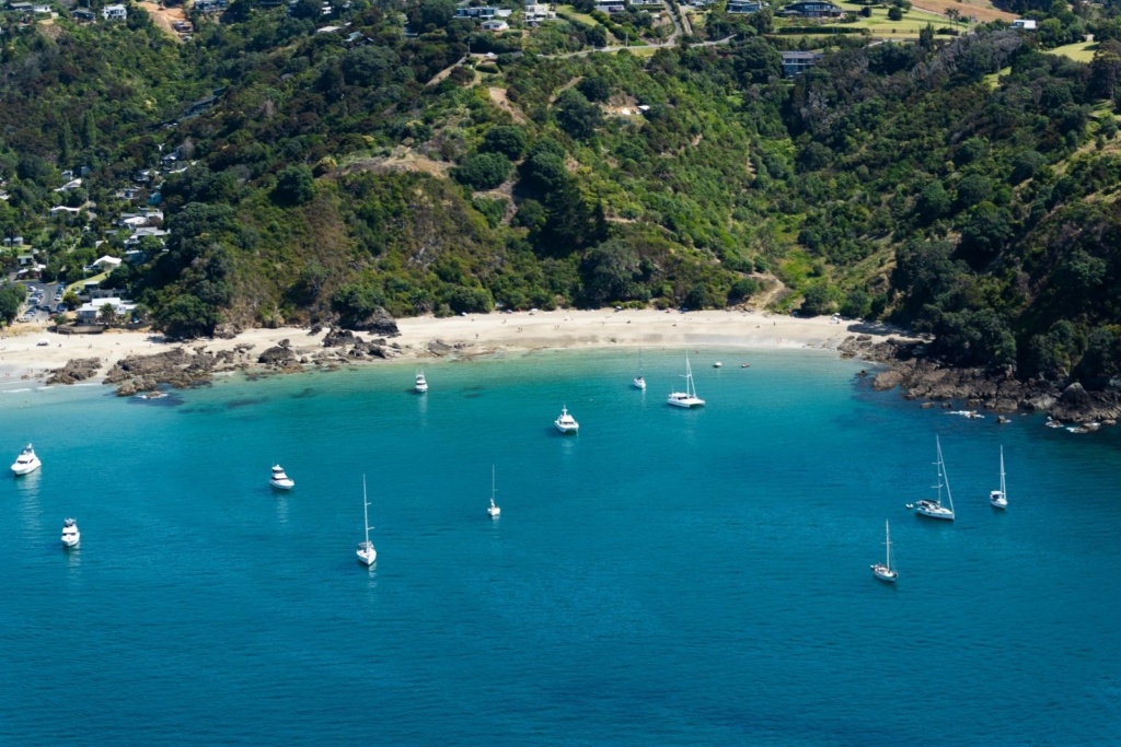 10 Ways to Enjoy Summer in Auckland