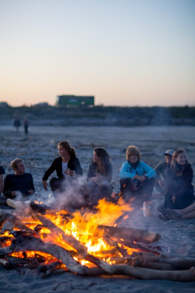 Hop-On Hop-Off Buses in New Zealand: Complete Guide + How Do They Work