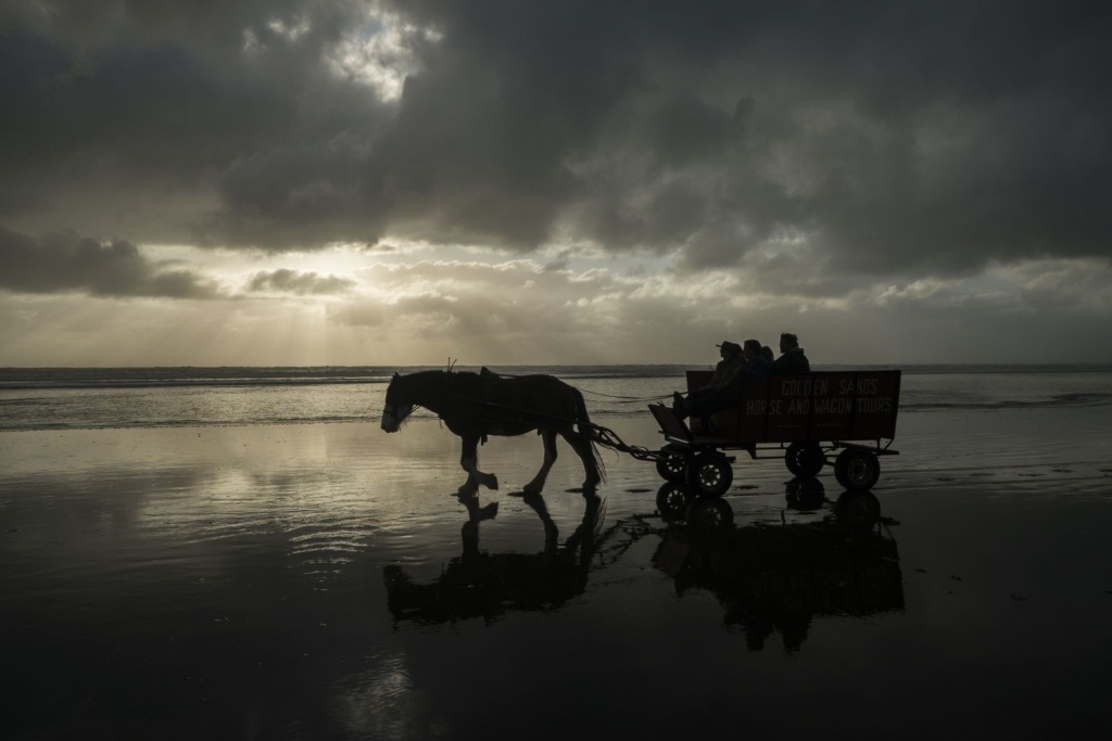 Paparoa National Park - Guide for Backpackers