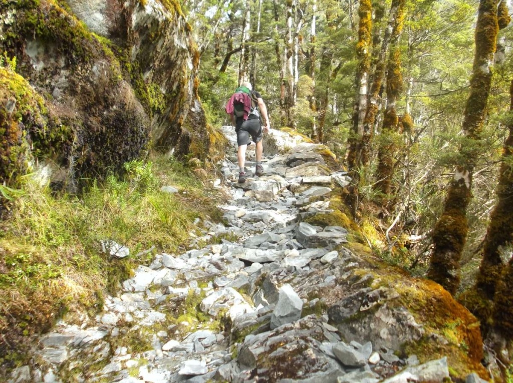 Top 10 Things to Do in New Zealand for Backpackers