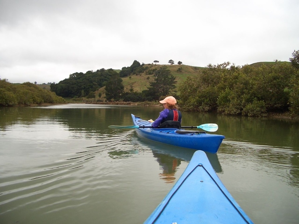 10 Ways to Enjoy Summer in Auckland