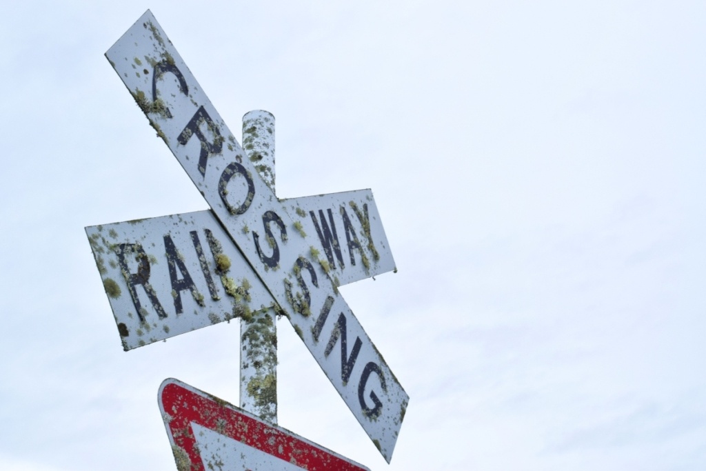 17 Best Things to Do in Gisborne