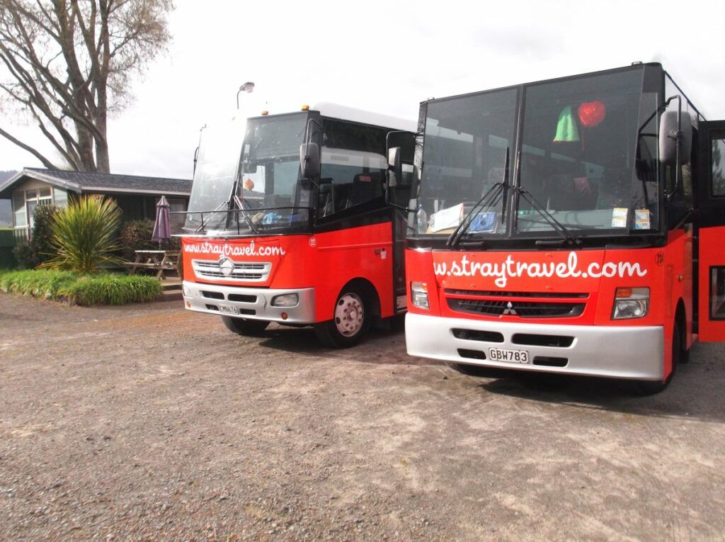 Hop-On Hop-Off Buses in New Zealand: Complete Guide + How Do They Work