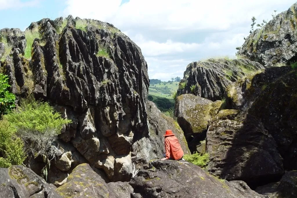 5 Best Things to Do in Kaikohe