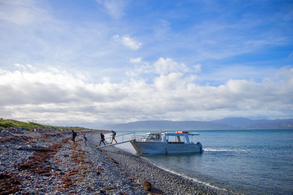 10 Must-Dos on the Kapiti Coast