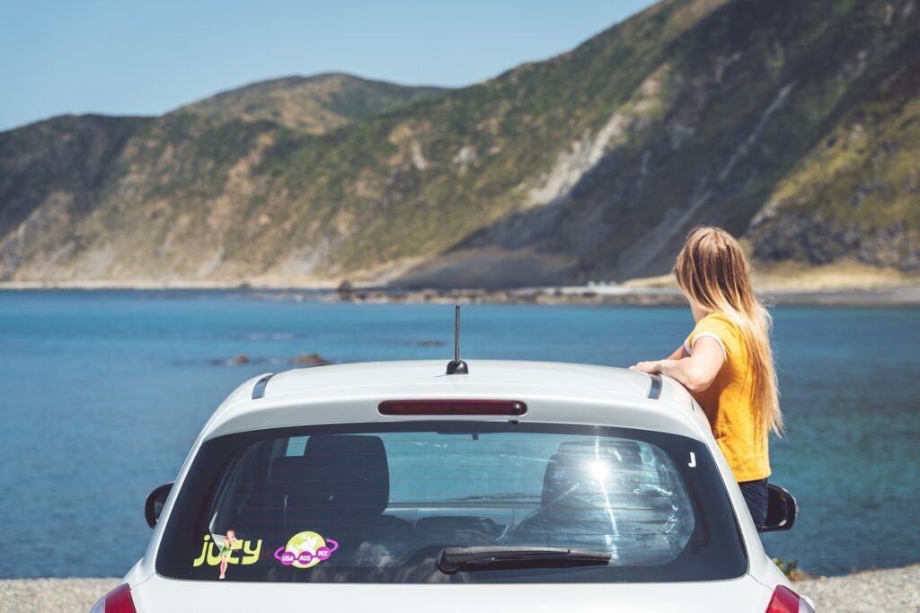 New Zealand Car Relocations How to Get Free Car Hire 😉 NZ Pocket Guide