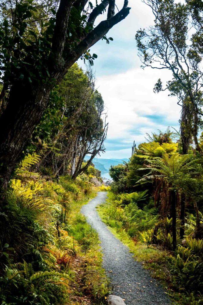 11 Best Things to Do on Stewart Island