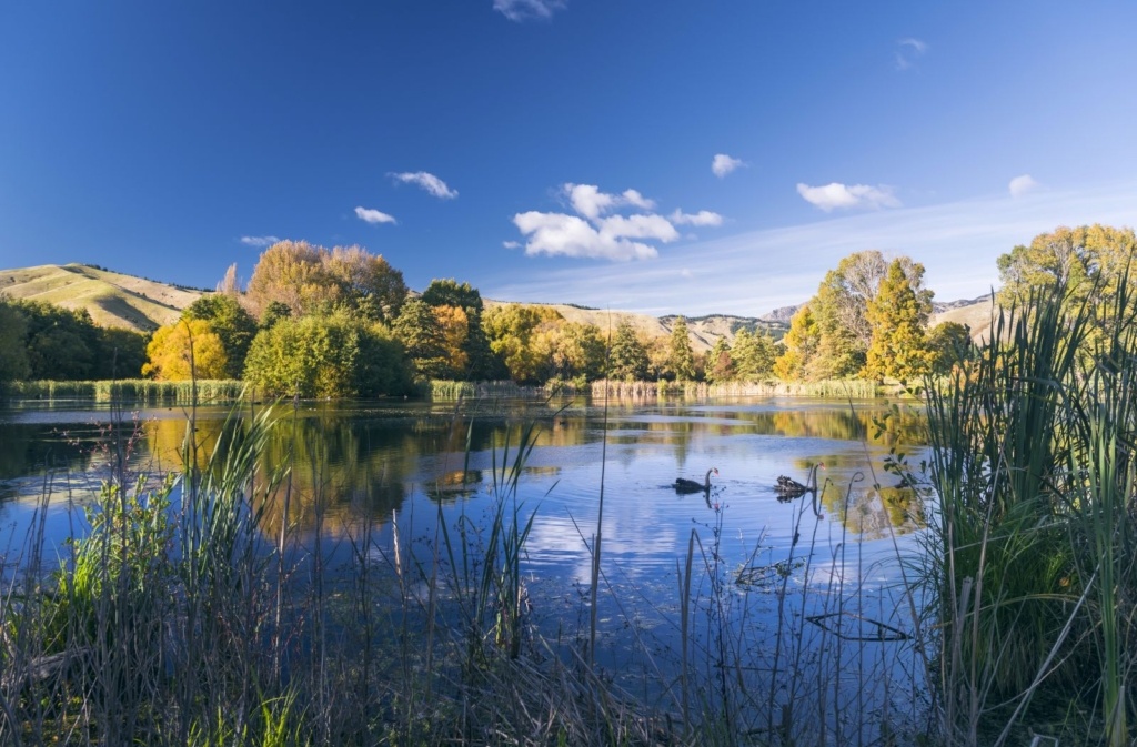13 Best Things to Do in Blenheim