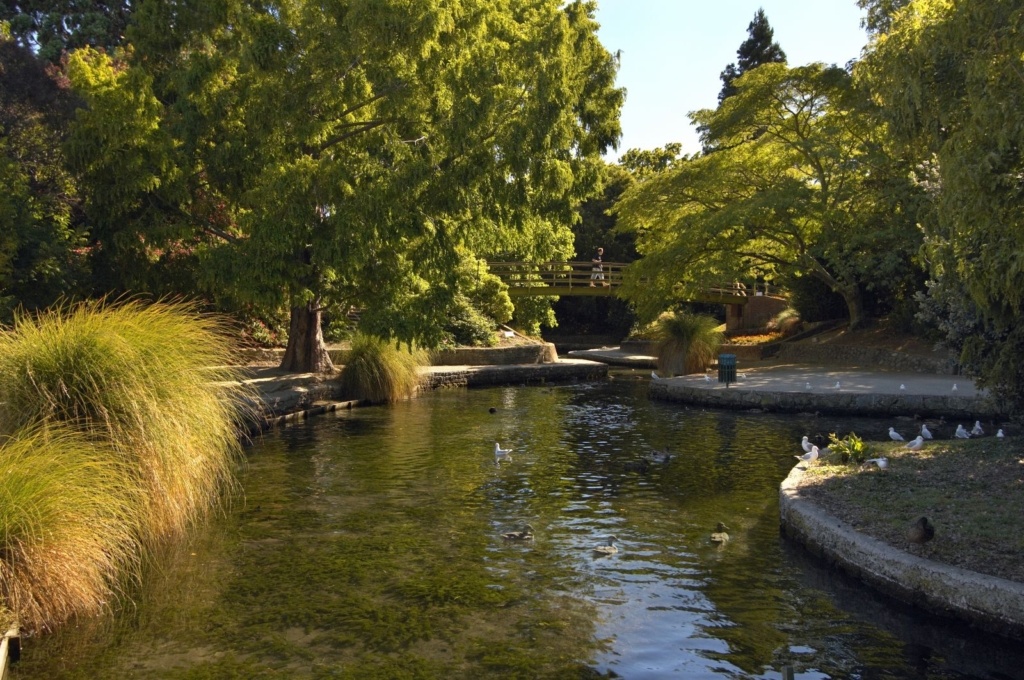 13 Best Things to Do in Blenheim