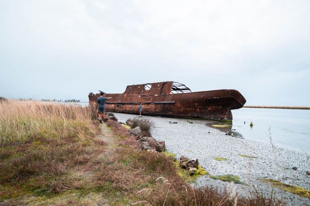 13 Best Things to Do in Blenheim