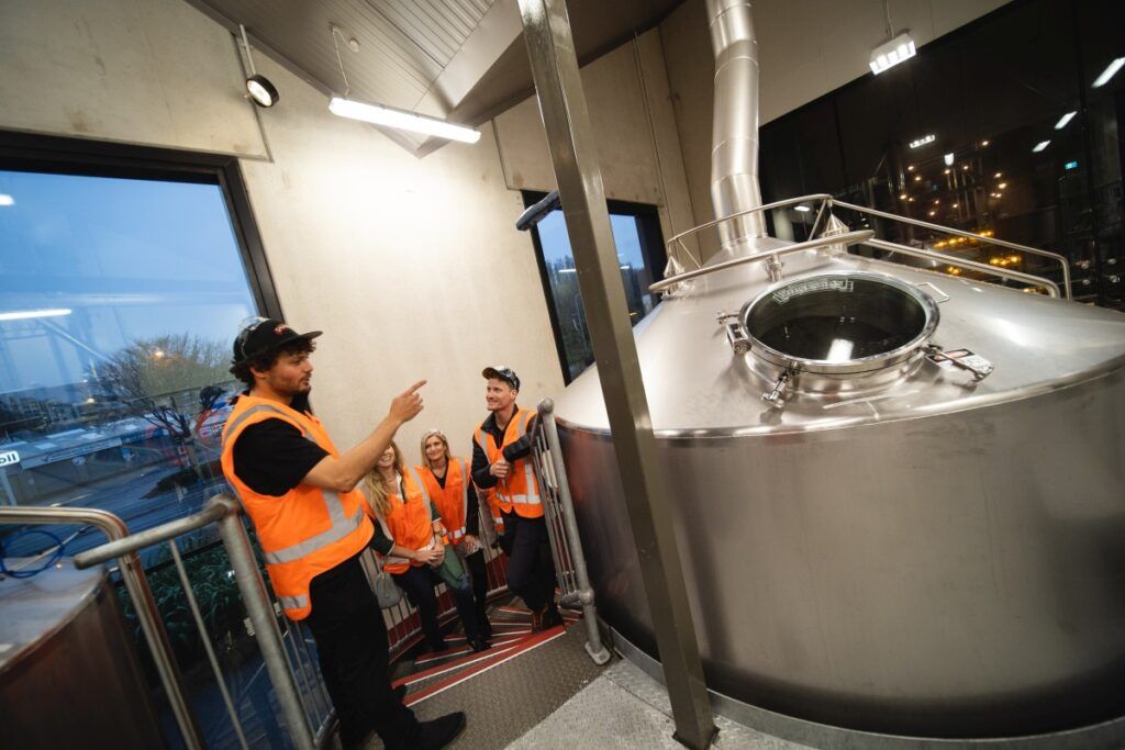 11 Things to Do in Dunedin on a Rainy Day