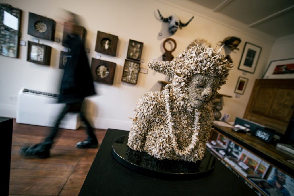 11 Things to Do in Dunedin on a Rainy Day