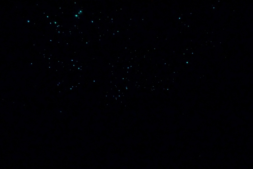 7 Best Things to Do in Kawakawa