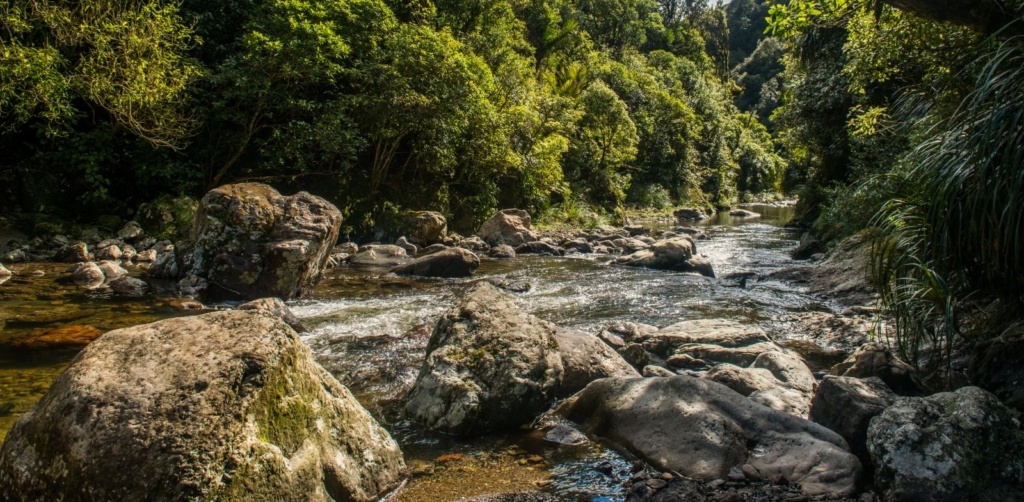 26 Best Hikes Around Palmerston North