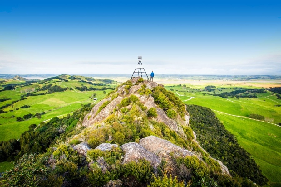 10 Best Things to Do in Dargaville