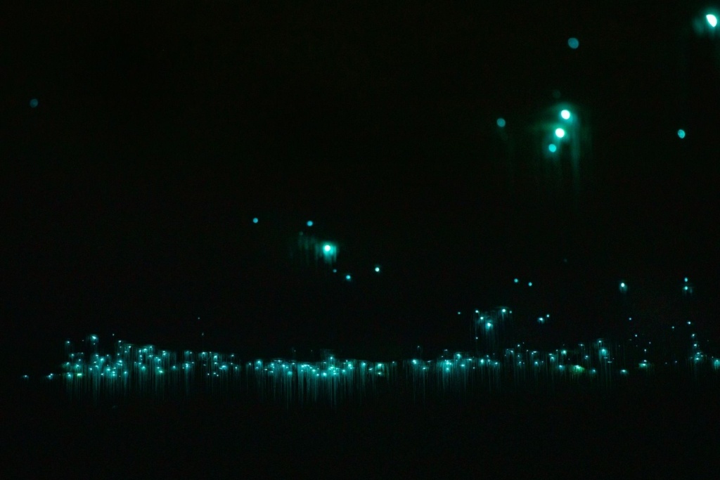 11 Best Things to Do in Greymouth