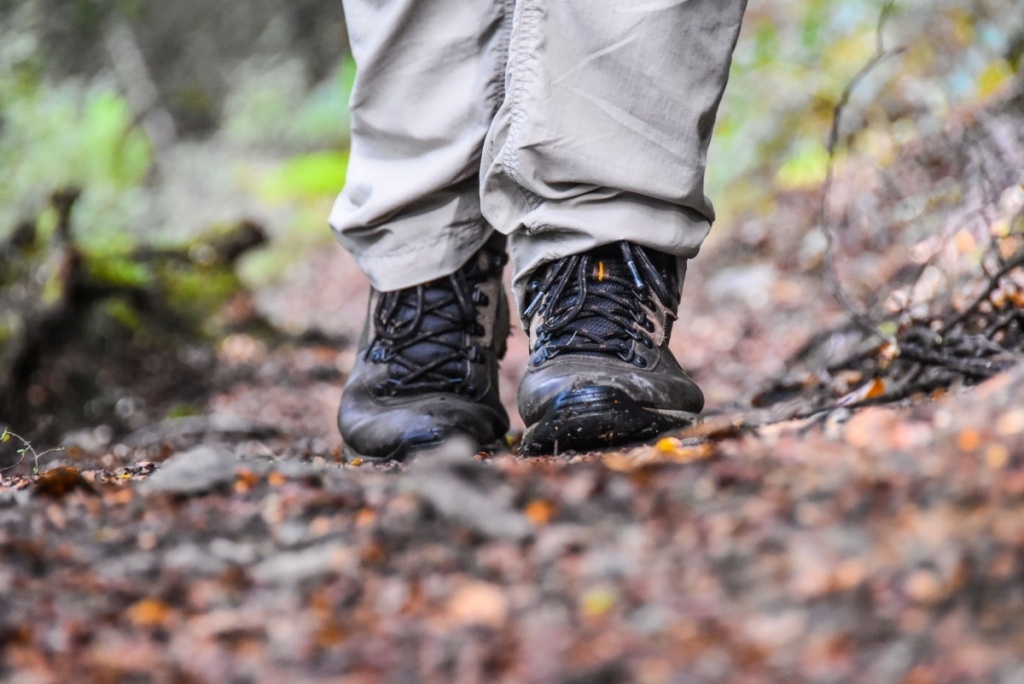 26 Best Hikes Around Palmerston North