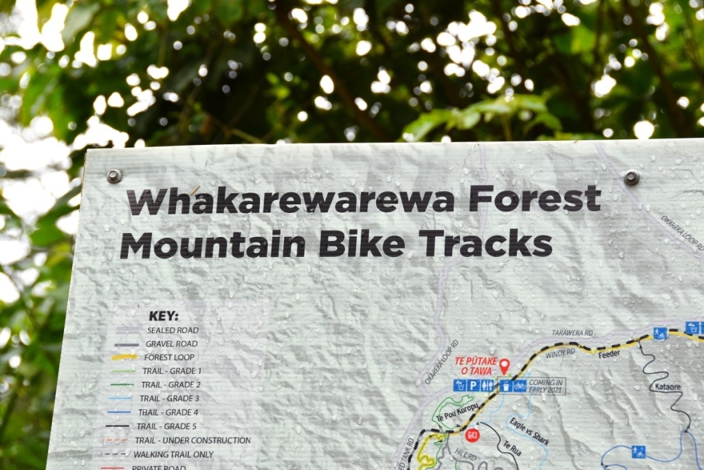 10 Best Bike Trails in Rotorua