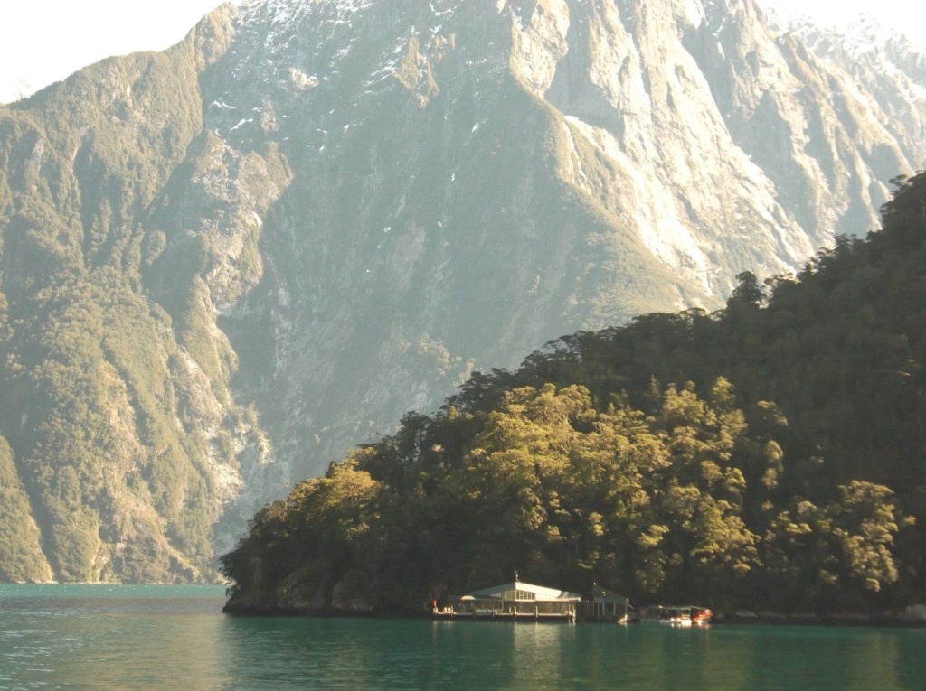 11 Stunning Sights Seen From a Milford Sound Cruise