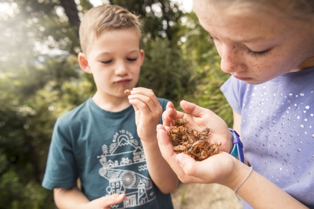 12 Best Things to Do in Picton