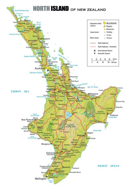 The Best Way to Spend 7 Days on the North Island