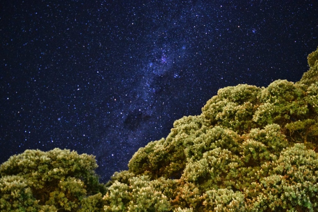 10 Central Otago Must-Dos