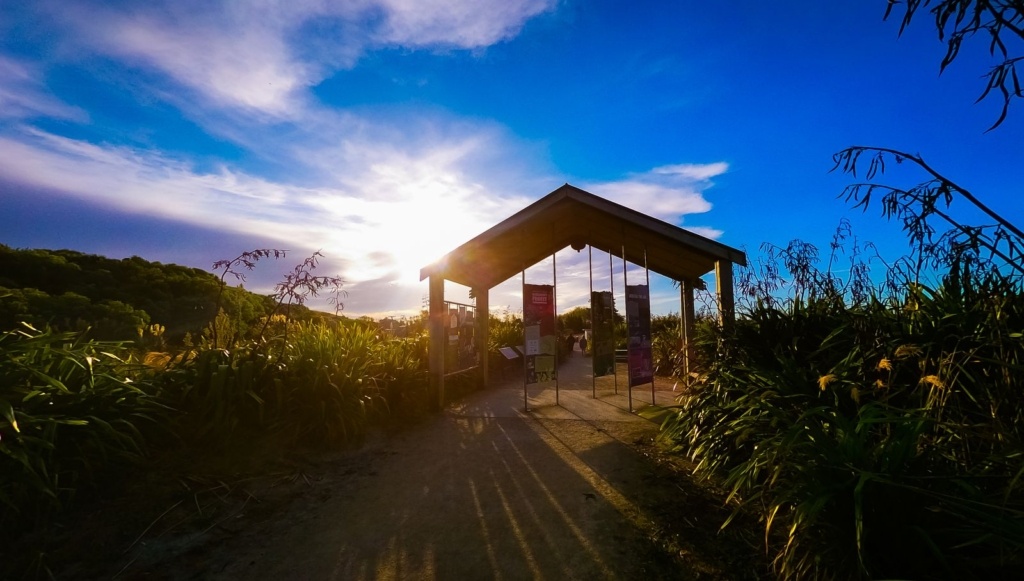 Tararua - Guide for Backpackers