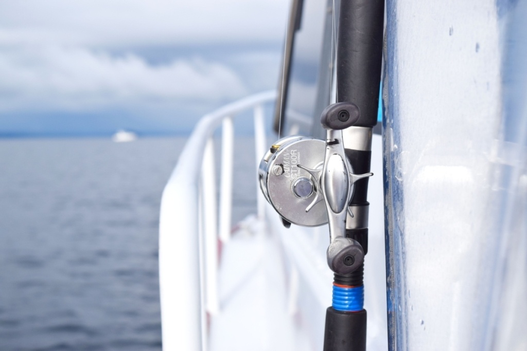 22 Best Things to Do in The Coromandel