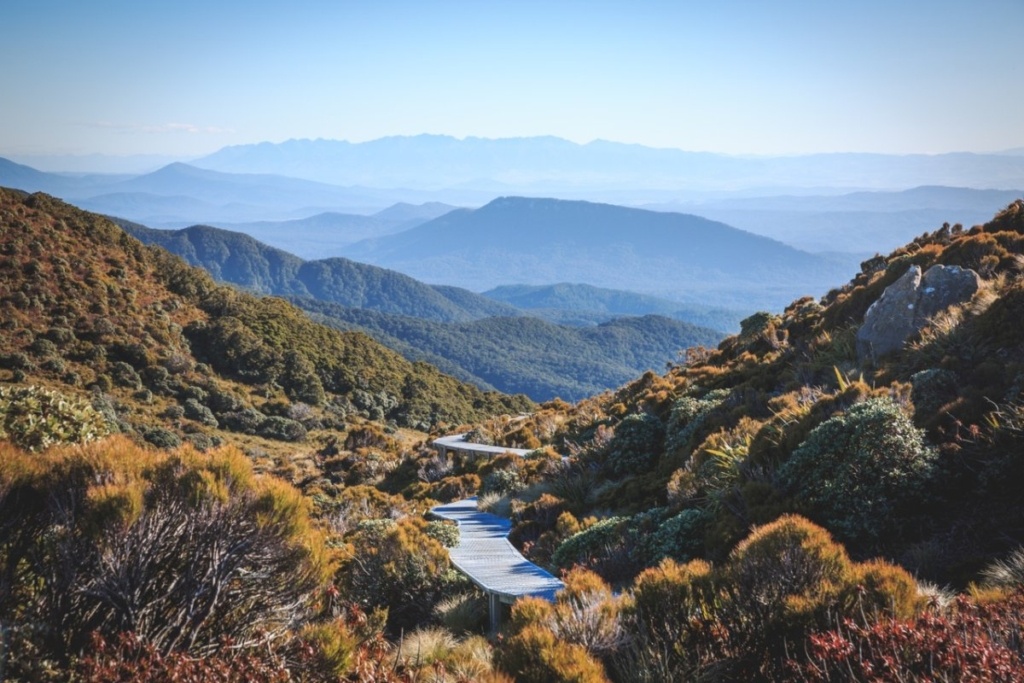 The Complete Guide to the Hump Ridge Track