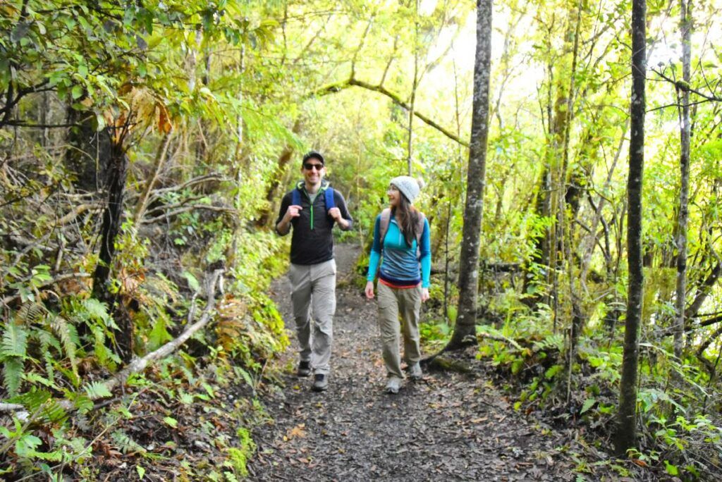 10 Best Walks Around Lake Taupo