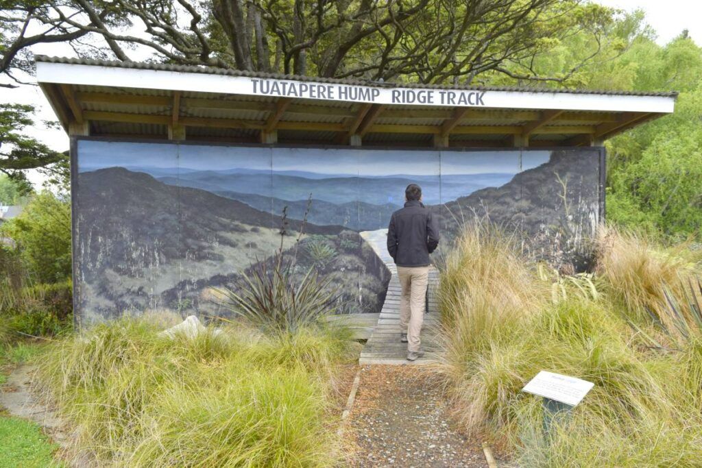 The Complete Guide to the Hump Ridge Track