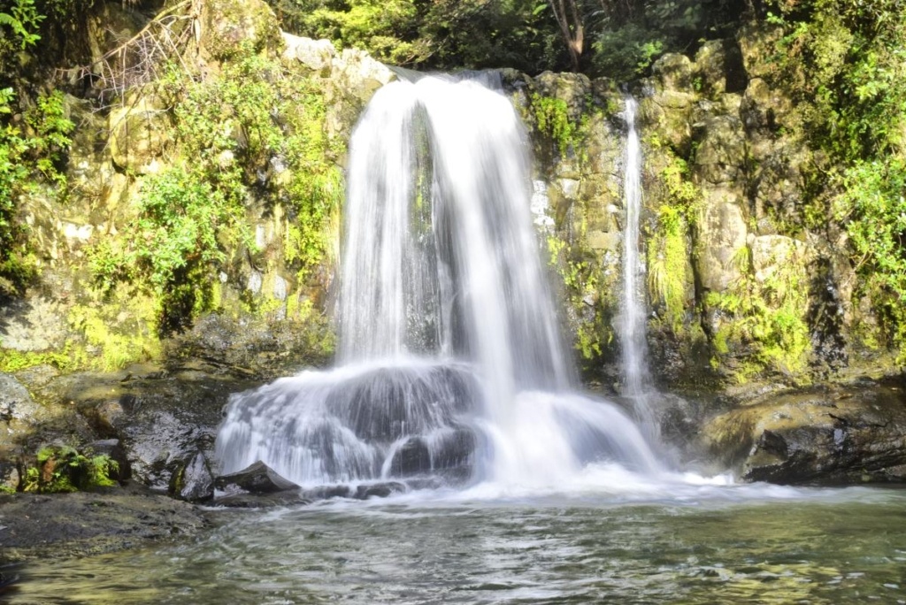 22 Best Things to Do in The Coromandel