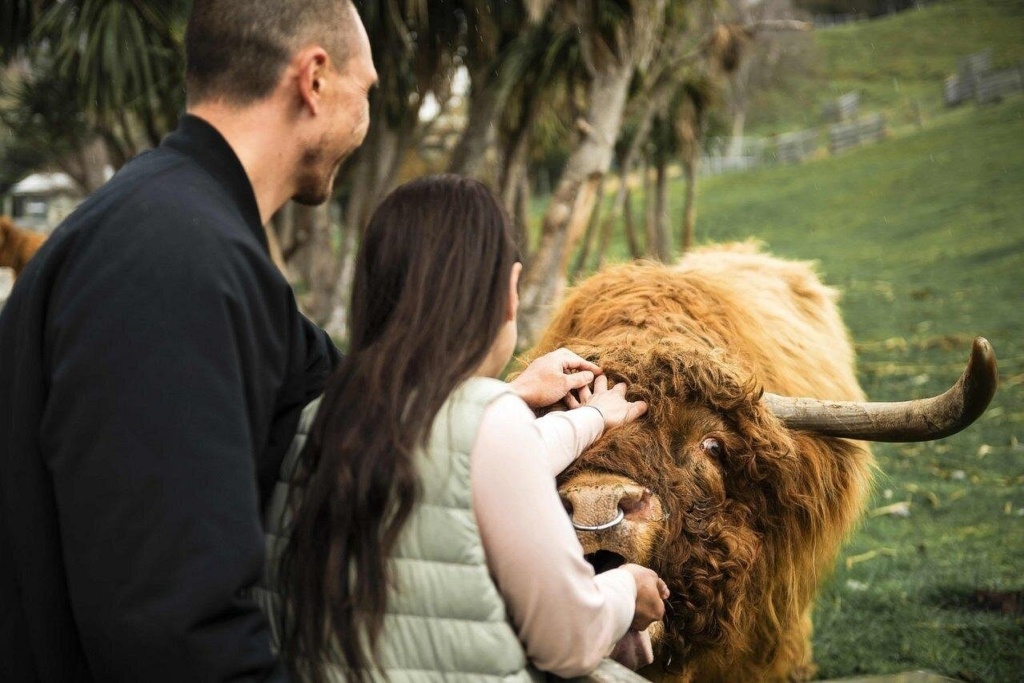 45 Best Things to Do in Queenstown