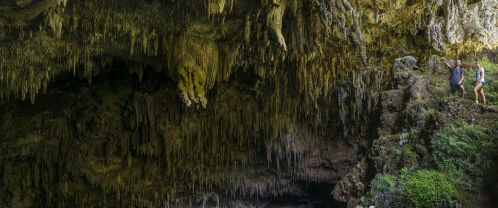 17 Best Things to Do in Golden Bay