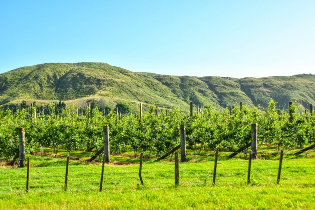 Month-by-Month Guide to the Best Places to Visit in New Zealand