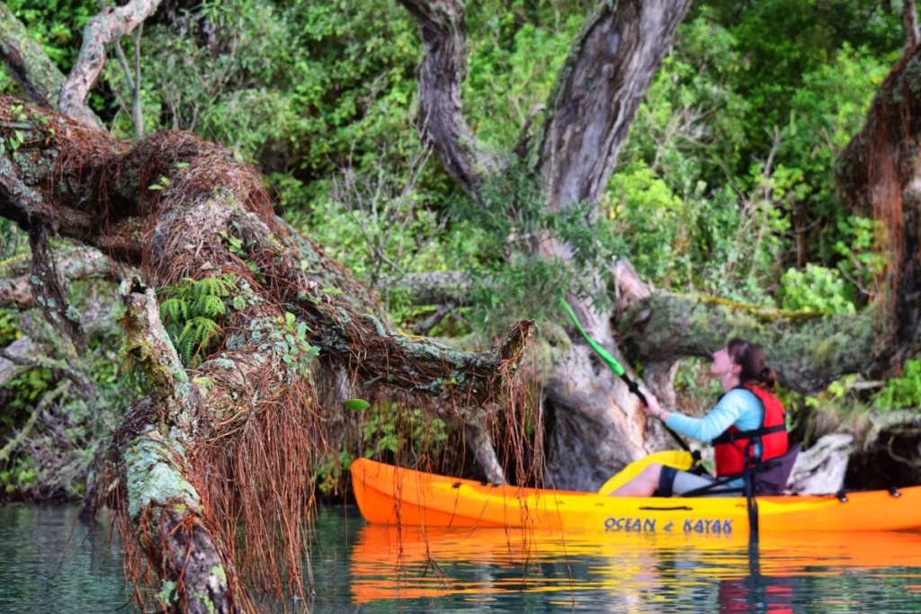 Month-by-Month Guide to the Best Places to Visit in New Zealand