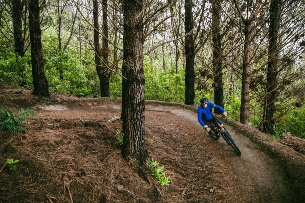 10 Best Things to Do in Porirua