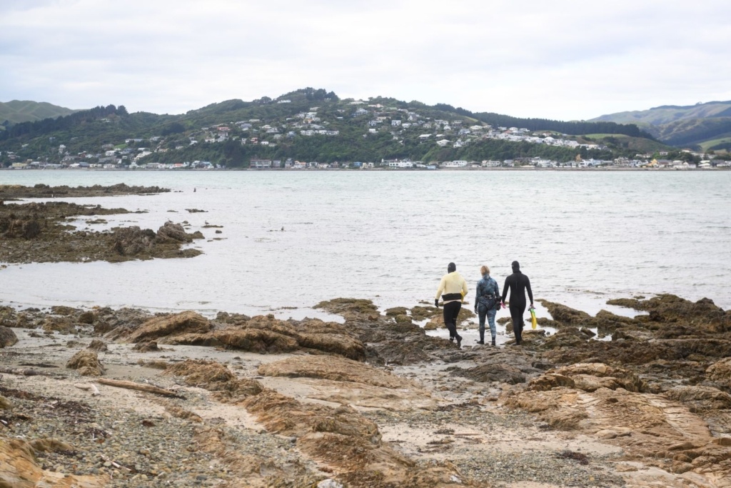 10 Best Things to Do in Porirua