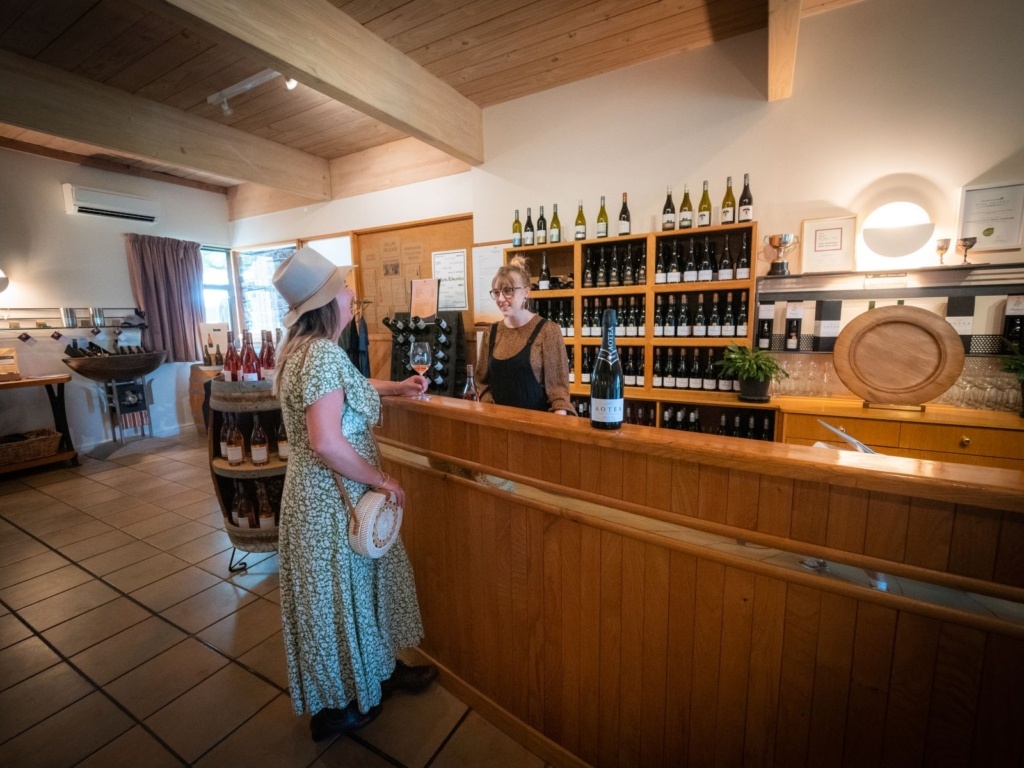 17 Best Things to Do in Nelson